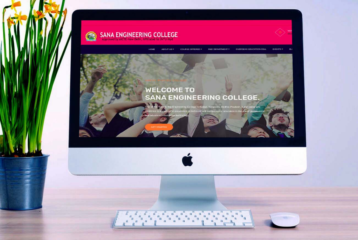 Sana Engineering College Website by Innobuz Technologies